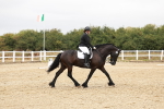 SBM_001917