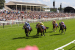 290723-Race 3-Alflaila-3848