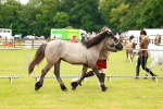 SBM_00370