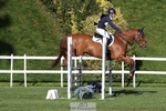 656-DUNARD.RED.KNIGHT-Naomi.Watkins-TrotUp+SJ portfolio