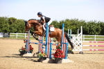 SBM_003689