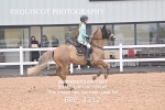 BPP_4312