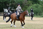 WJ7_1276