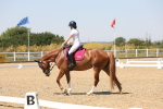 SBM_005031