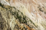 Yellowstone River Hillside