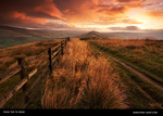 From Tor to Ridge
