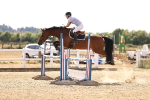 SBM_001356