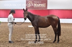 BPP_1486