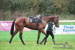 Knightwick Races Point-to-Point 09/11/24 portfolio