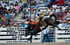 3HRodeo7-26-25_CFD_oooo3006_