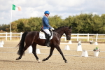 SBM_003375
