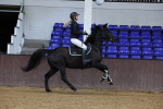 Class 20 - Senior British Novice - 90cm Open portfolio
