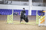 SBM_003235