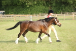 SBM_10592