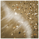 Jewels in the Tide, Curracloe/Ballinesker, Co Wexford