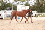 SBM_16281
