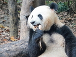 CHINA__0058
