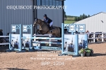 BPP_1204