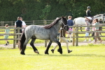 SBM_00702