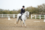 SBM_001241