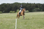 BVHT 140517  NXC -333