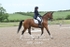 BPP_0646