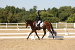 SBM_006850