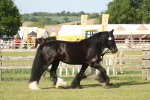 SBM_10333