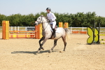 SBM_000306