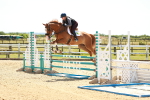 SBM_006525