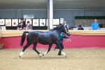 SBM_16637
