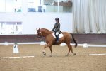 SBM_001950