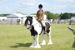 SBM_17238