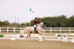 SBM_011513