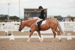 SBM_05909