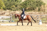 SBM_001499