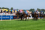 120826-Race 3-Sir David-6121