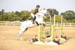 SBM_04043