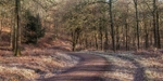 Bromley Hill Panorama