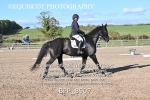 BPP_8907