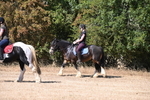 WJ6_8196
