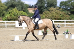 SBM_014480