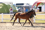 SBM_14051