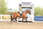 SBM_00704