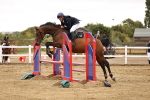 Class 8 - Clear Round portfolio
