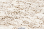 250420A-111124-00490