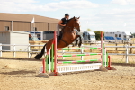 SBM_007493