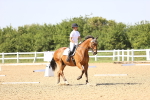 SBM_010246