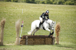 BVHT 140517  NXC -383