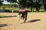 SBM_15073